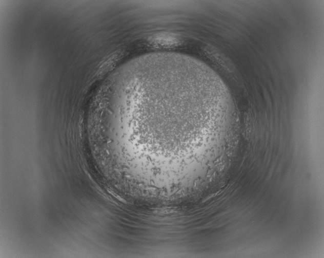 X0000054390451200508270038