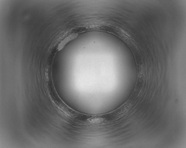 X0000054390452200508270038
