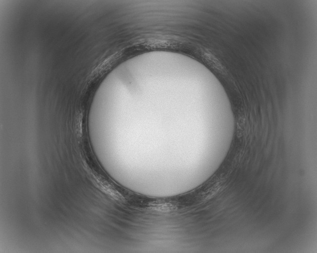 X0000054390454200508270038