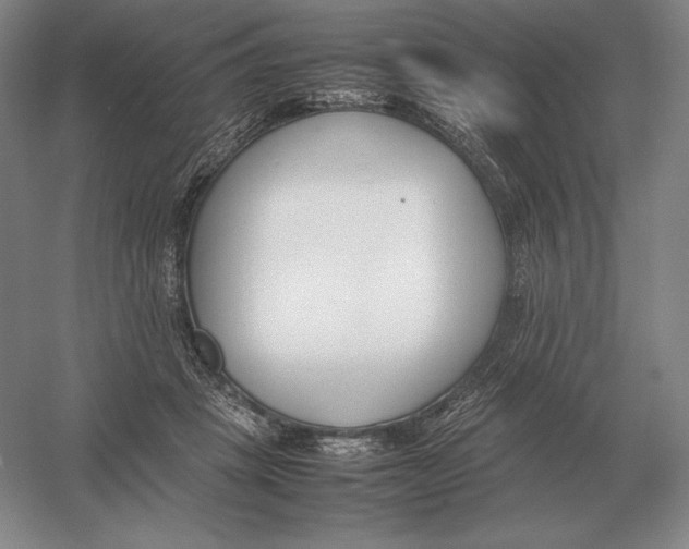 X0000054390457200508270038