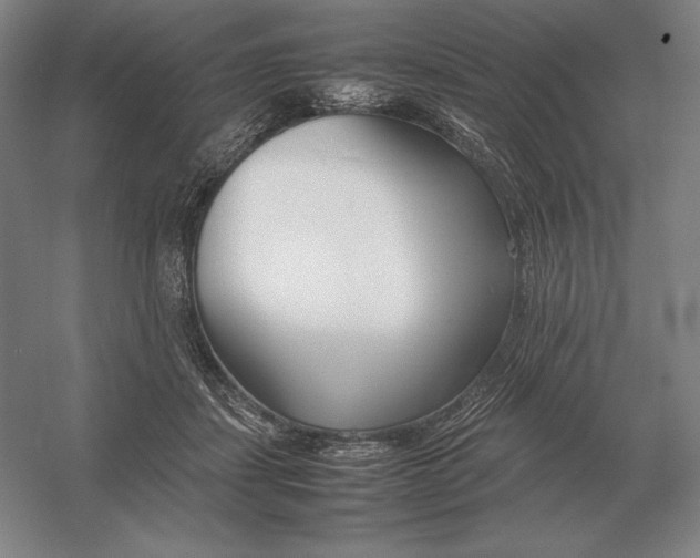 X0000054390459200508270038