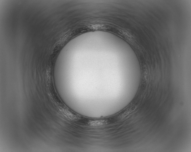 X0000054390461200508270038