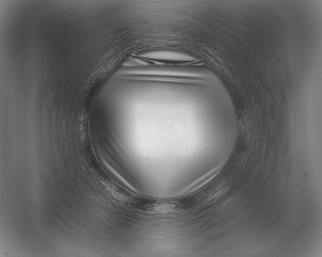 X0000054390462200508270038