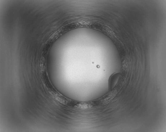 X0000054390464200508270038