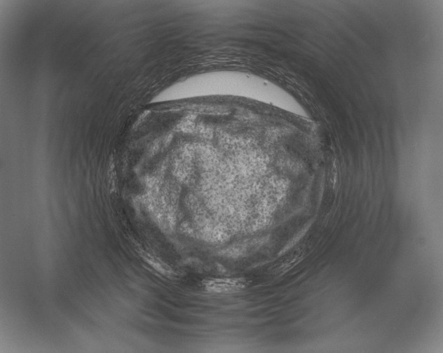 X0000054390465200508270038