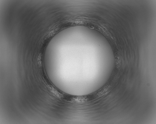 X0000054390466200508270038