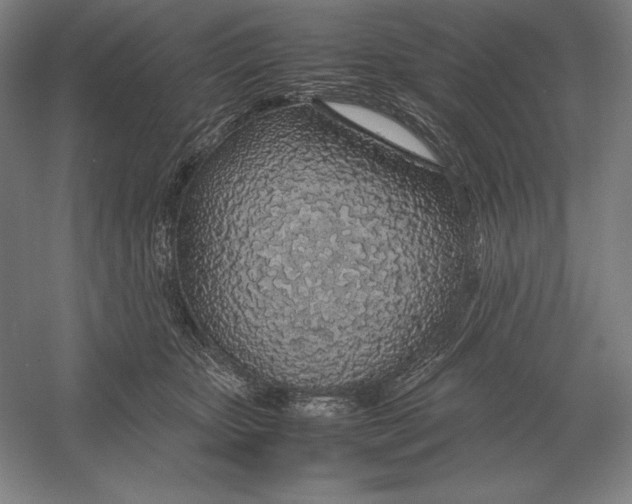 X0000054390467200508270038