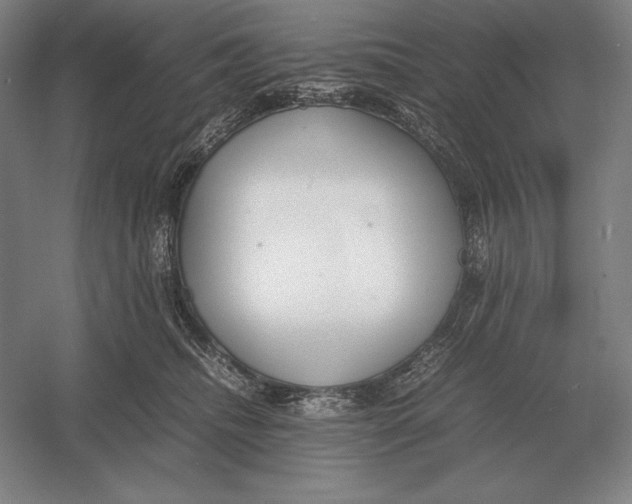 X0000054390468200508270038