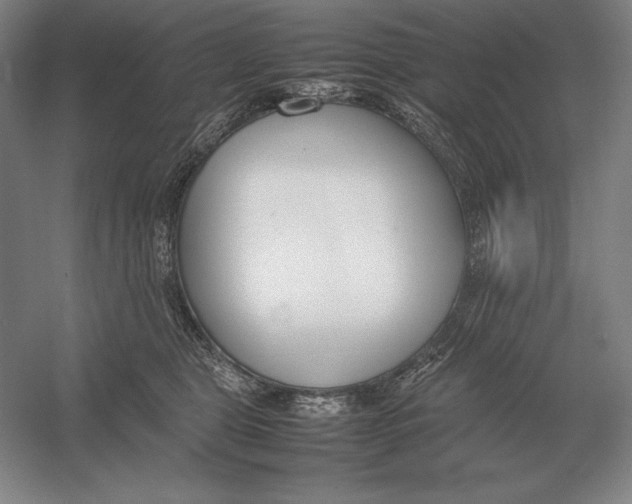 X0000054390469200508270038