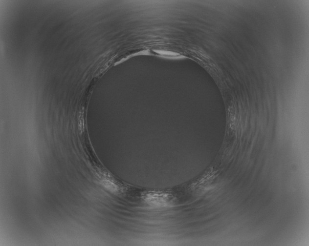 X0000054390471200508270038