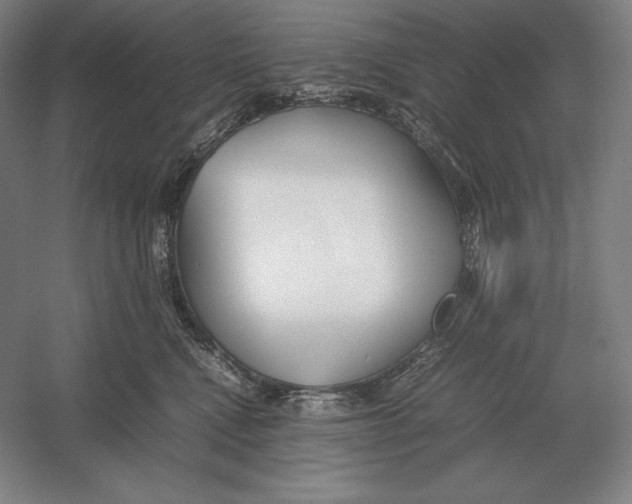 X0000054390472200508270038