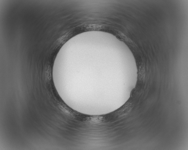 X0000054390474200508270039