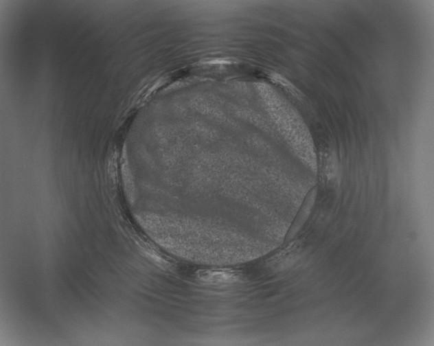 X0000054390475200508270039