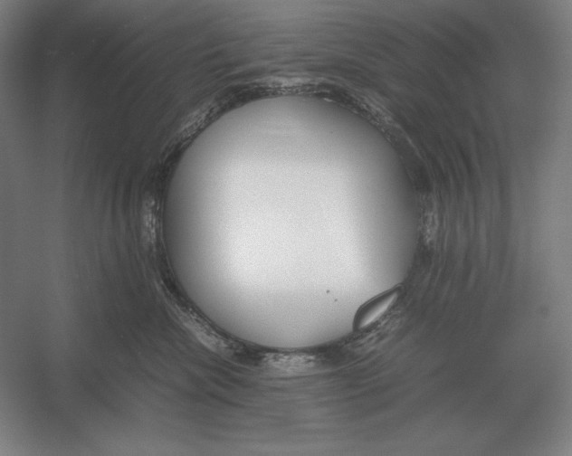 X0000054390476200508270039