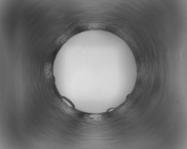 X0000054390478200508270039