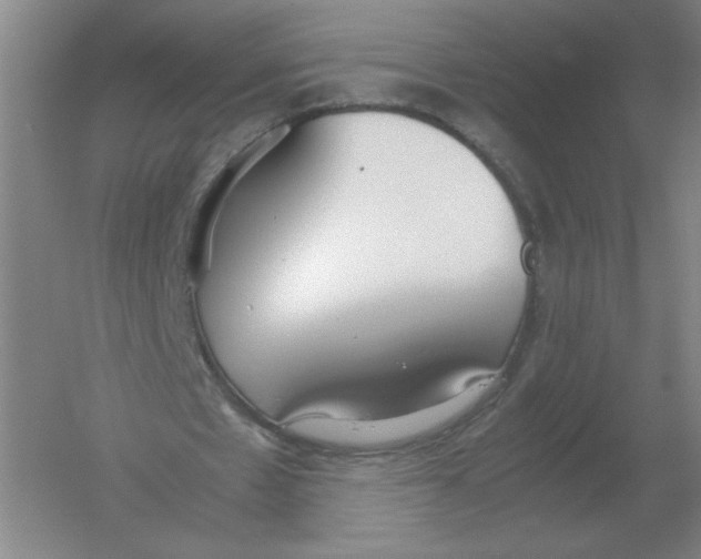 X0000054390481200508270038