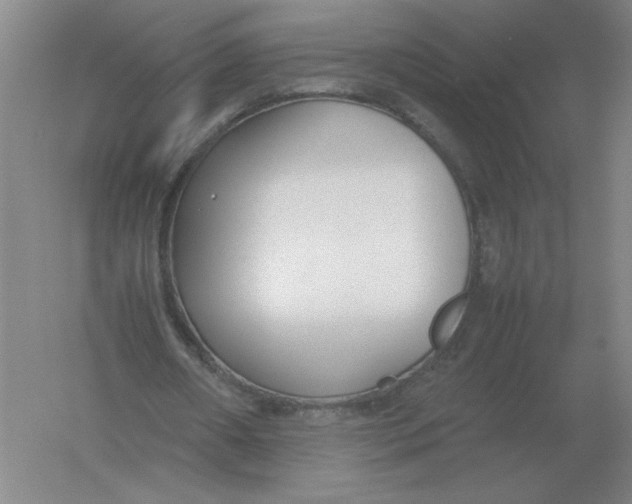 X0000054390482200508270038
