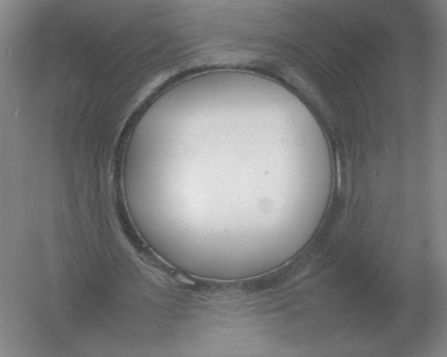 X0000054390483200508270038