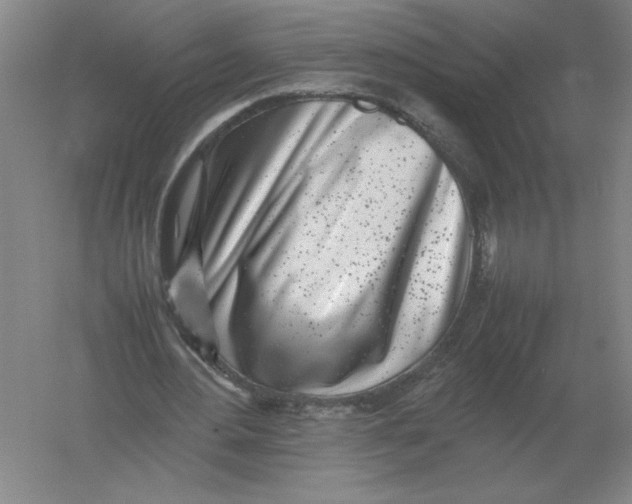 X0000054390484200508270038