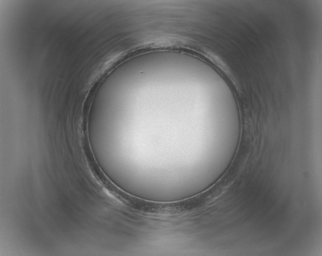 X0000054390485200508270038