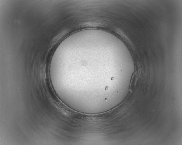 X0000054390486200508270038