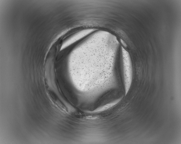 X0000054390488200508270038