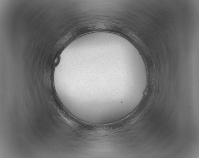 X0000054390489200508270038