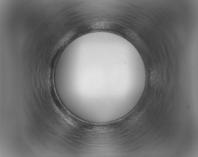 X0000054390490200508270038