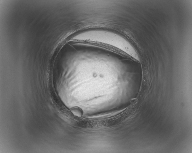 X0000054390491200508270038
