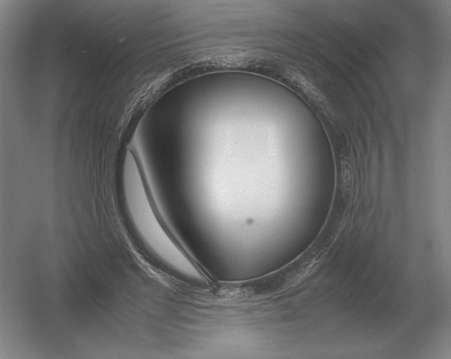 X0000054390493200508270038