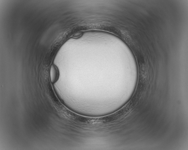 X0000054390495200508270038