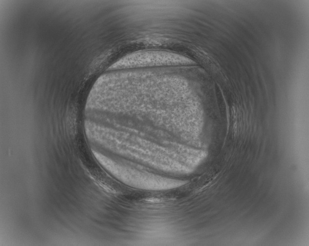 X0000054390496200508270038