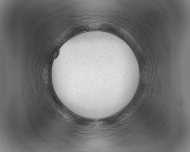 X0000054390497200508270038