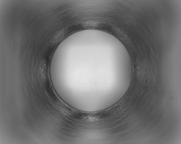 X0000054390498200508270038