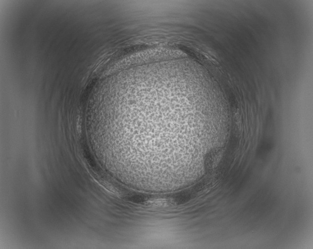 X0000054390499200508270037