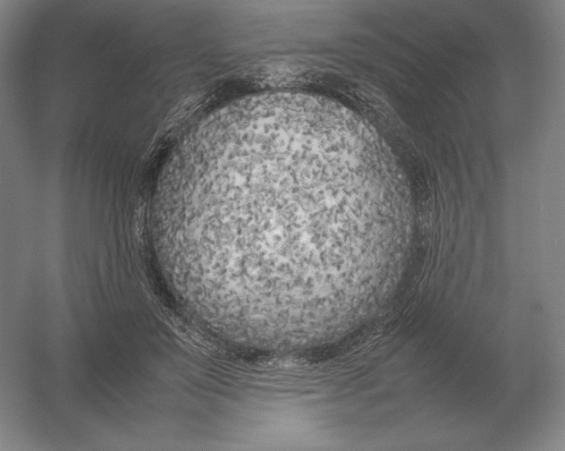 X0000054390503200508270037