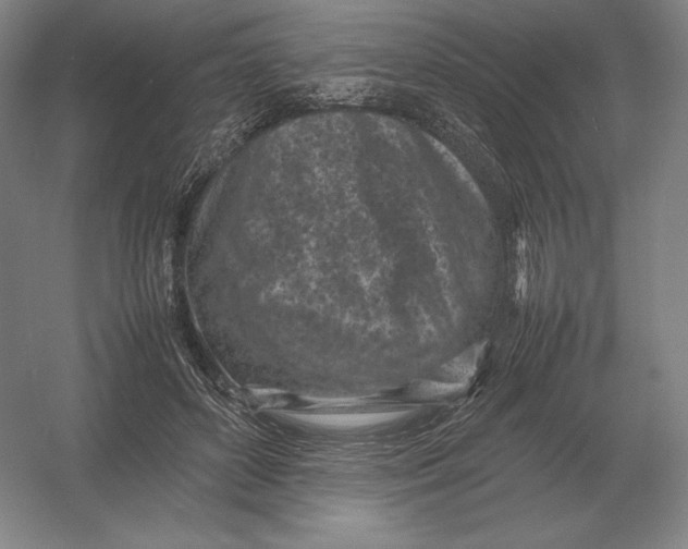 X0000054390504200508270037