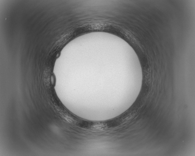 X0000054390505200508270037