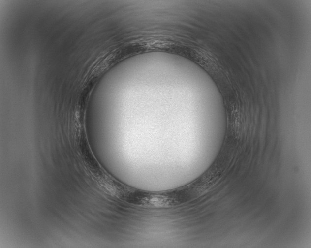 X0000054390506200508270037
