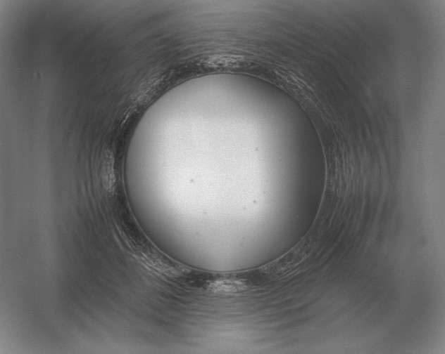 X0000054390508200508270037