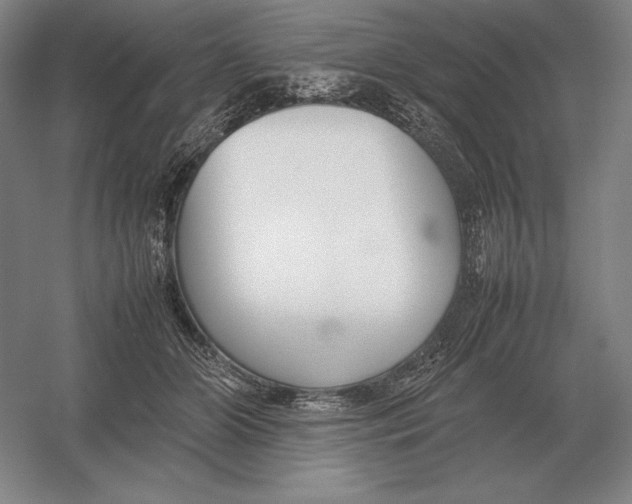 X0000054390510200508270037