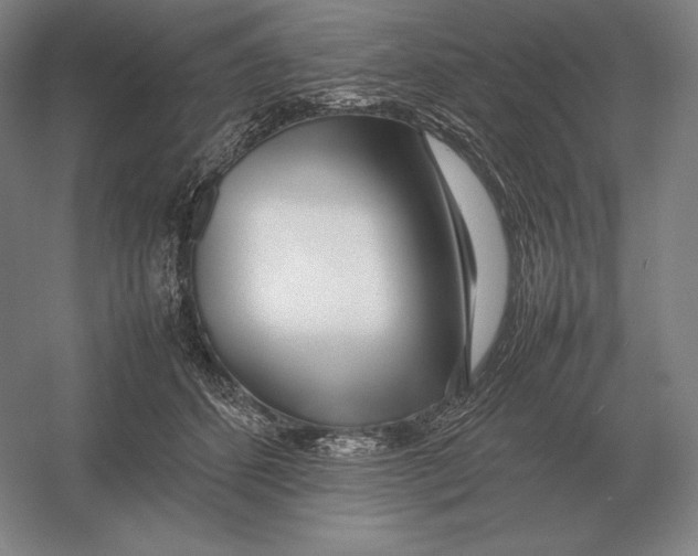 X0000054390512200508270037