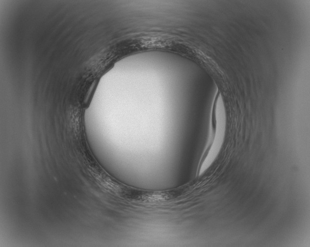 X0000054390513200508270037