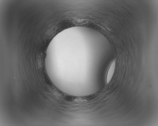 X0000054390515200508270037