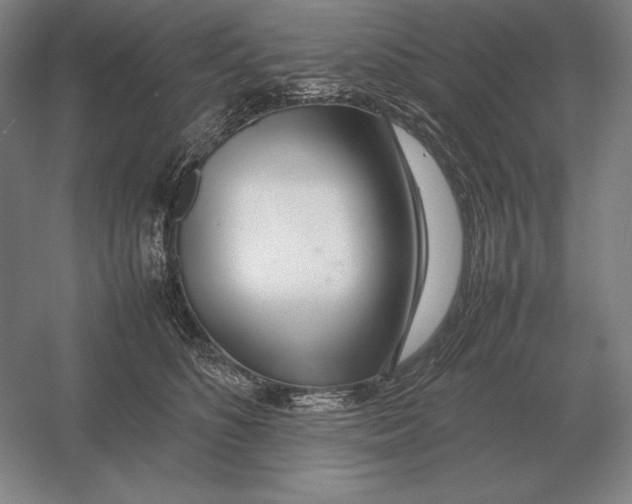 X0000054390516200508270037
