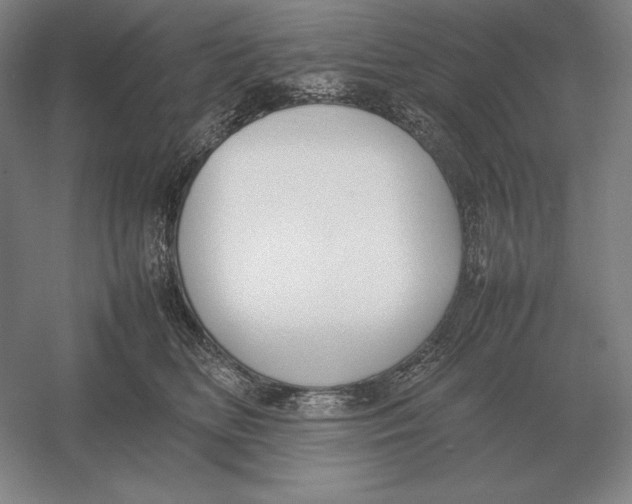 X0000054390518200508270037