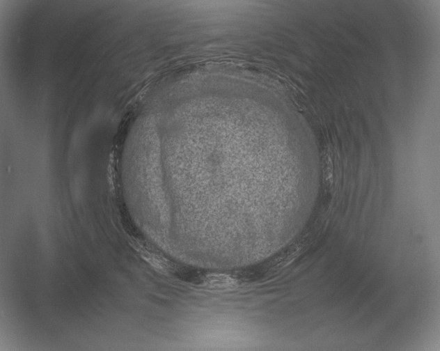 X0000054390519200508270037