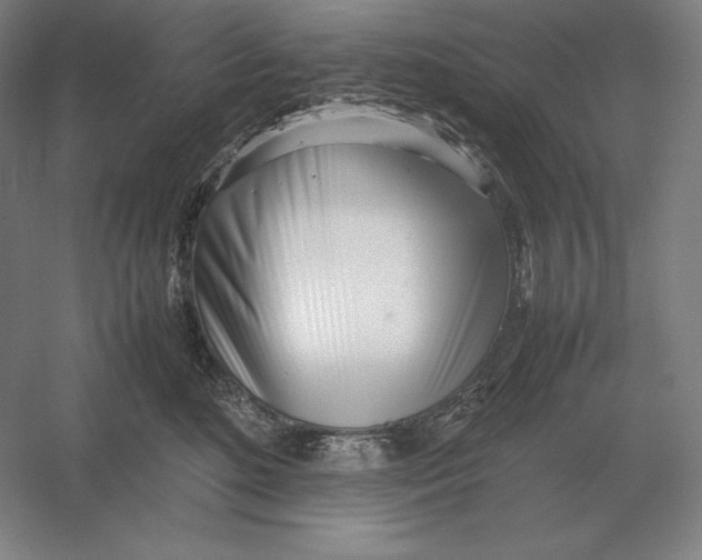 X0000054390520200508270037