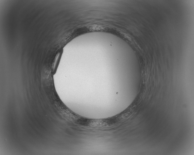 X0000054390521200508270037