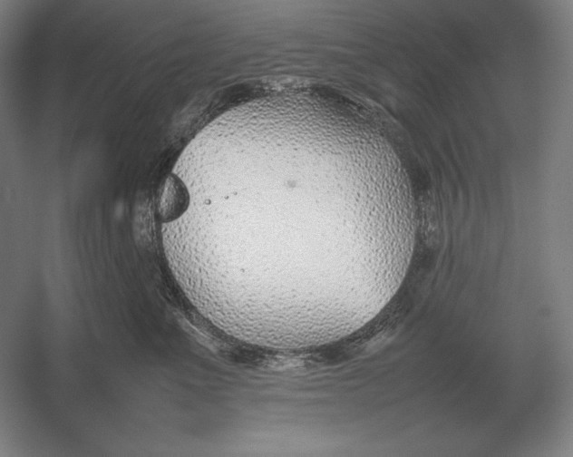 X0000054390523200508270037